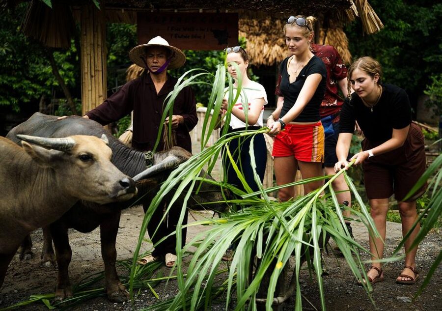 Ninh Binh cooking class at Buffalo Cave - Buffalo Cave After Cooking: Optional Activities That Turn a Class Into a Day
