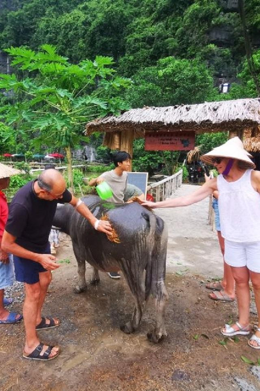 Ninh Binh : Countryside Tour by Motorcycle - Buffalow Riding - Key highlights worth your attention