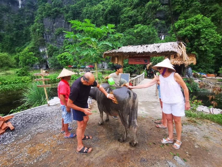 Ninh Binh : Countryside Tour by Motorcycle - Buffalow Riding - Buffalo Cave area: cooking class, lunch, duck feeding, and buffalo riding