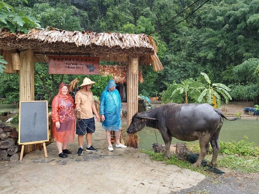 Ninh Binh : Countryside Tour by Motorcycle - Buffalow Riding - Price and value: what $51 covers and what to add