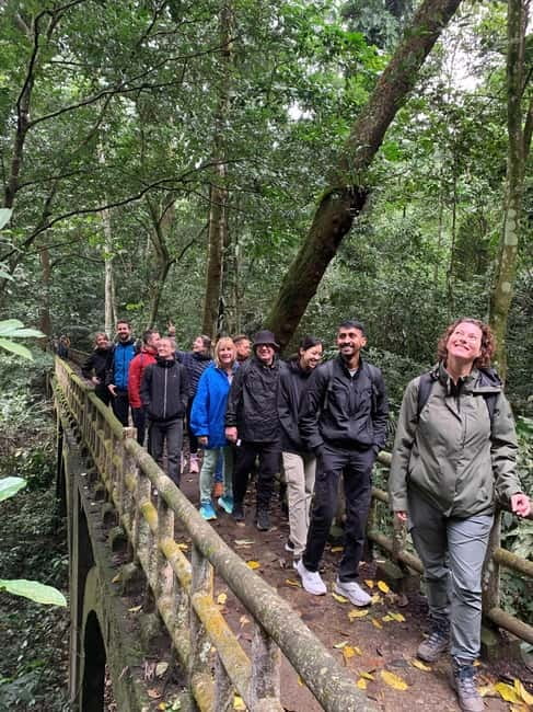 Ninh Binh: Cuc Phuong Jungle Hike & Wildlife Day Trip - The 1,000-year-old Cay Cho tree: why it’s a standout moment