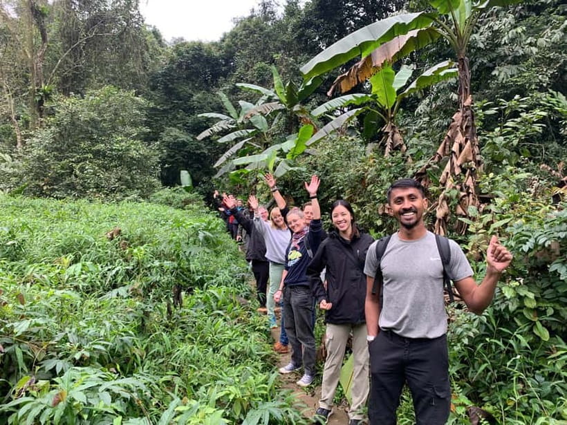Ninh Binh: Cuc Phuong Jungle Hike & Wildlife Day Trip - Wildlife expectations: when the jungle gives fewer sightings