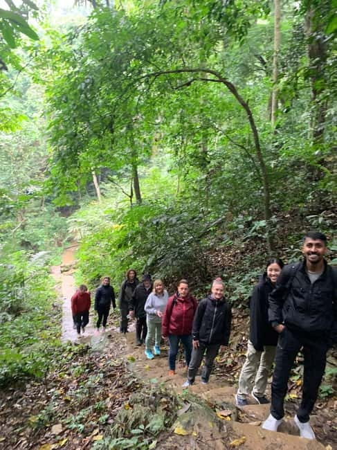 Ninh Binh: Cuc Phuong Jungle Hike & Wildlife Day Trip - Logistics that affect comfort: group size, guides, and leech reality