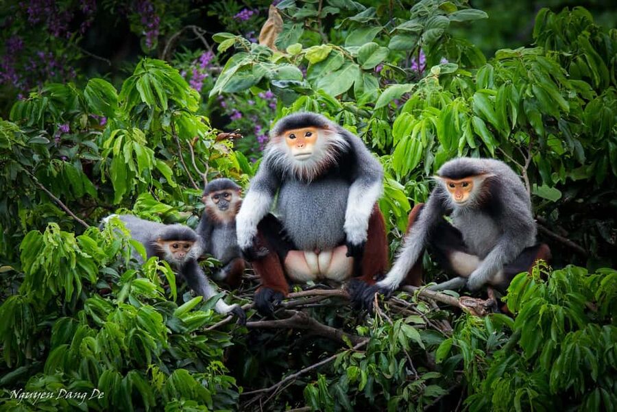 Ninh Binh: Cuc Phuong Jungle Trek, Wildlife & Ancient Caves - A full-day nature plan with real variety in Cuc Phuong