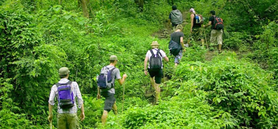 Ninh Binh: Cuc Phuong National Park 1 Day Small Group - Key highlights at a glance