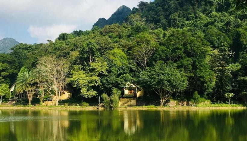 Ninh Binh : Cuc Phuong National Park One Day Group Tour - The Day Timeline: 08:30 Pick-Up to 16:30 Drop-Off