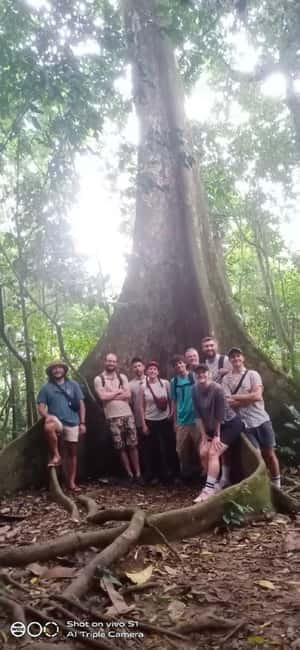 Ninh Binh : Cuc Phuong National Park One Day Group Tour - Botanical Garden Stop: A Short Breather in the Middle of the Green