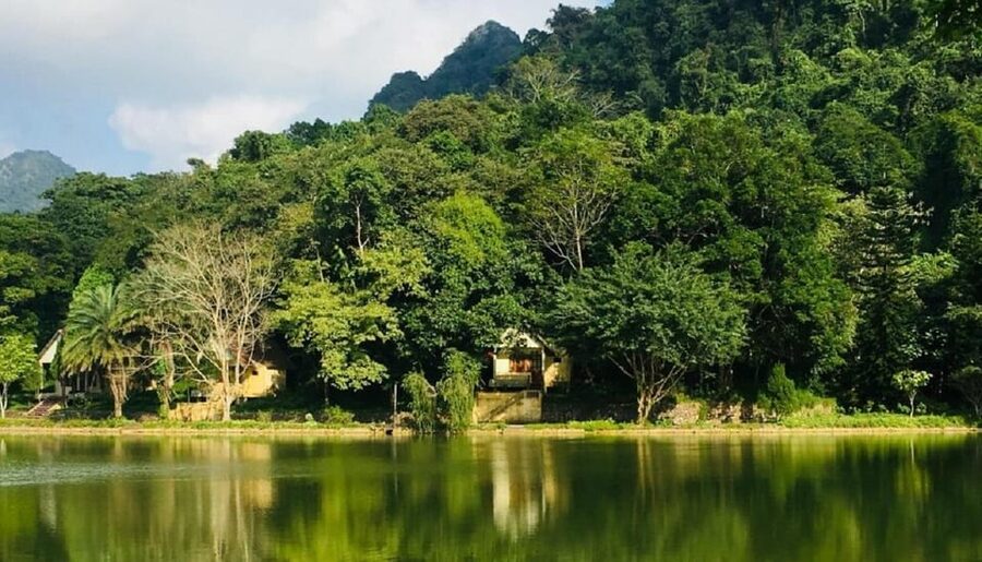 Ninh Binh : Cuc Phuong National Park One Day Group Tour - Jungle Walking and Wildlife: When Butterflies Matter