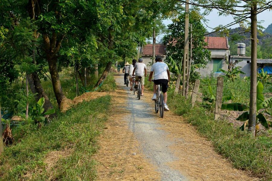 Ninh Binh Daily: Hoa Lu, Mua Cave, Tam Coc, Bike & Swimming - Tam Coc by sampan: Hang Ca, Hang Hai, Hang Ba