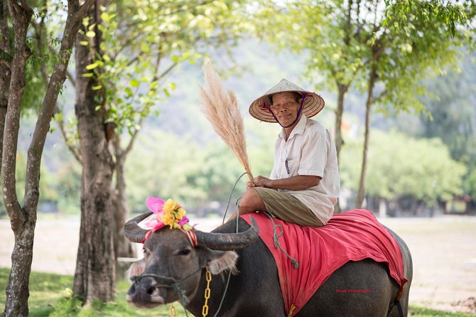 Ninh Binh Daily Tour: Hoa Lu - Tam Coc boat trip and Bike - The bike ride after Tam Coc: when you trade viewing for moving