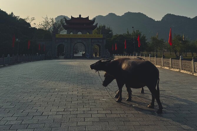 Ninh Binh Day Escape from Hanoi: Local Life, Connection & Tales - Key highlights that make this trip worth your time