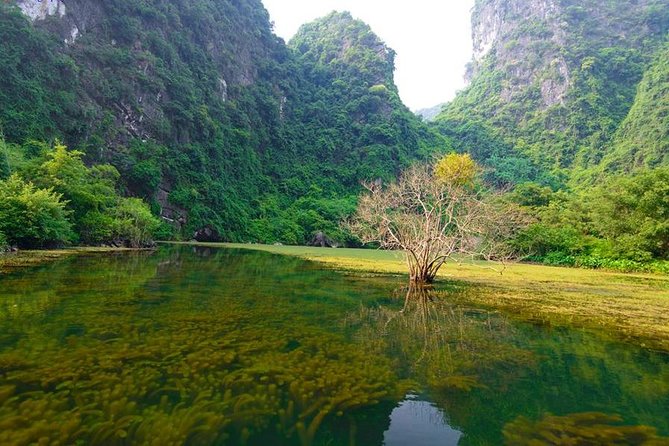 Ninh Binh Day Tour: Bai Dinh Trang An boat trip - Trang An boat ride: caves and tunnels that make the scenery feel real