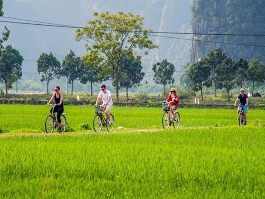 Ninh Binh Day Tour: Hoa Lu, Trang An Mua Cave, Boat Ride - Lunch in Tam Coc: Fuel for Caves, Cycling, and Steps