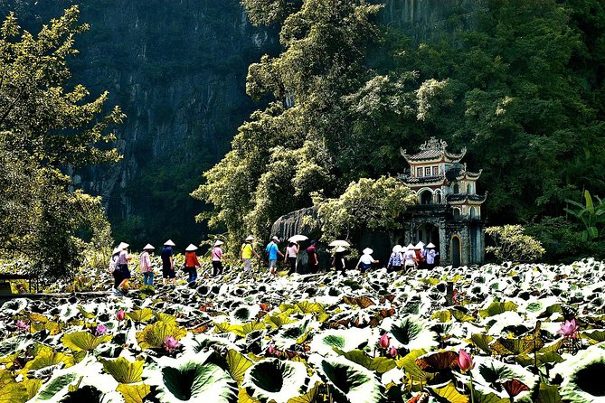 Ninh Binh Day Tour Small Group - Luxury Transfer - Luxury Limousine Transfer From Hanoi: Worth It at 8am