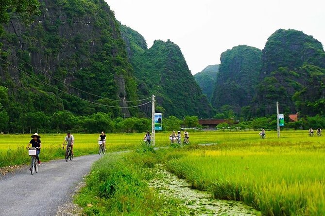 Ninh Binh Day Tour Tam Coc Mua Cave Hoa Lu Buffet Lunch Limousine - Two Hours on the Ngo Dong River: The Bamboo Boat Through Hang Ca, Hang Hai, Hang Ba