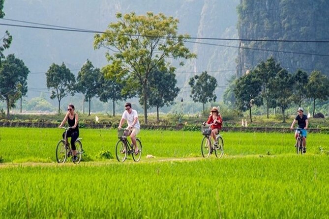 Ninh Binh Day Tour to Hoa Lu Trang An Mua Cave with Buffet Lunch - Price and Value: How $53 Holds Up for a Full-Day Combo