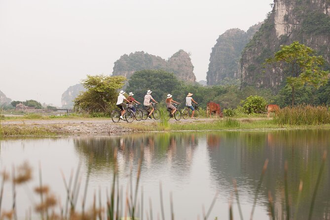 Ninh Binh Day Tour To Visit Hoa Lu - Trang An/Tam Coc - Mua Cave - Mua Cave near 500 steps: the climb that delivers the big view