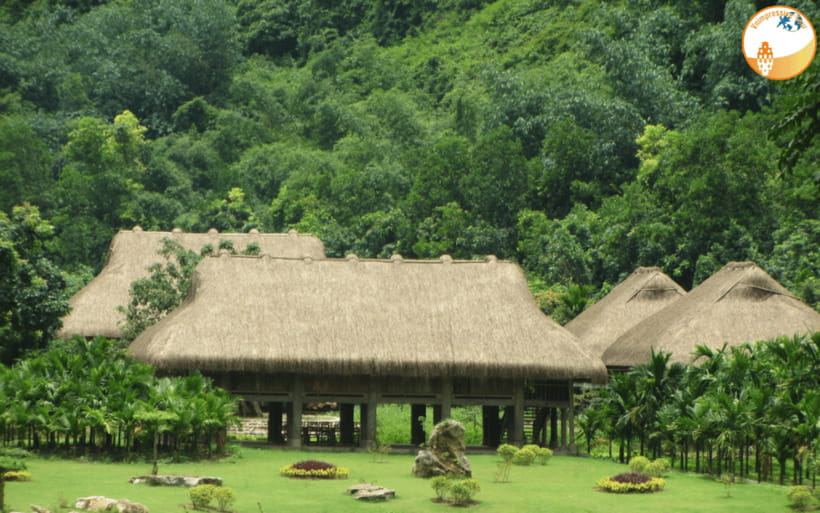 NINH BINH DAY TRIP: HOA LU,MUA CAVES &THUNG NHAM BIRD VALLEY - Thung Nham Bird Valley by Boat: Seeing 40,000 Birds Up Close