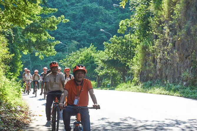 Ninh Binh Day Trip: Hoa Lu-Trang An/Tam Coc-Mua Cave-Cycling-Boat - Trang An grottoes boat tour: caves, stalactites, and the rowing surprise