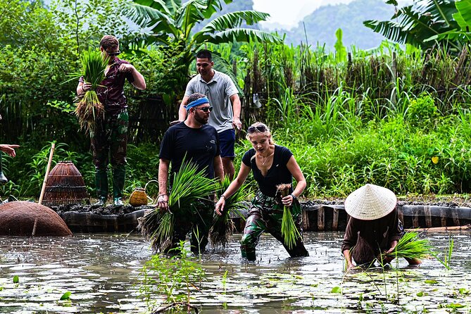Ninh Binh eco group tour - Buffalo riding, rice planting, fishing - Buffalo Riding, Feeding, and Getting Close (Without Pretending It’s a Theme Park)