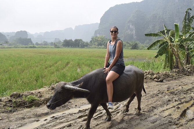 Ninh Binh eco group tour - Buffalo riding, rice planting, fishing - Rice Planting: Learning with Real Suit-Up and Real Work