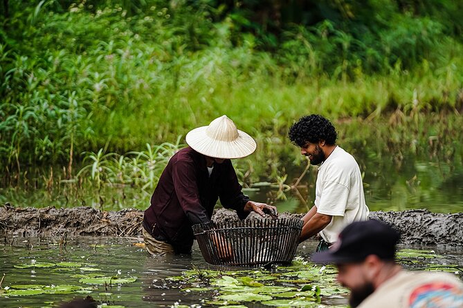 Ninh Binh eco group tour - Buffalo riding, rice planting, fishing - Price and What You Get for $41.41