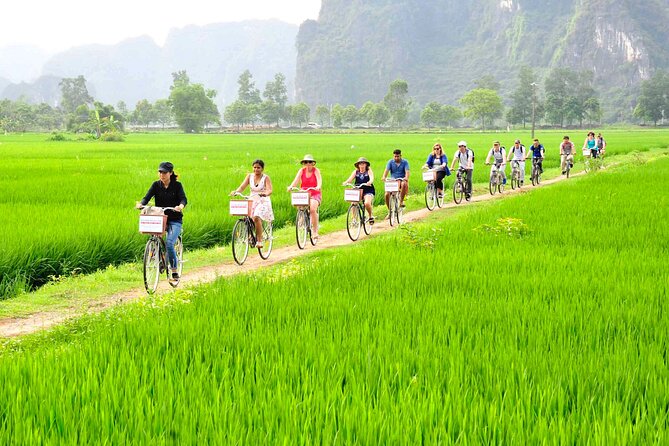 Ninh Binh full day-Hoa Lu temple & biking, Tam Coc boat trip, Dragon mountain - Hoa Lu Temples of the Dinh and Le Dynasties: Walk Through an Ancient Capital