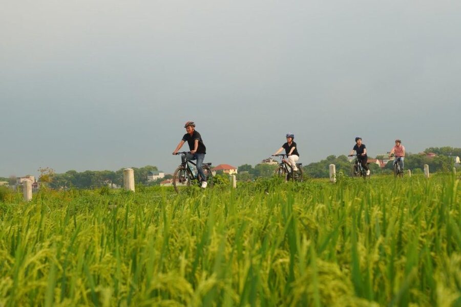 Ninh Binh: Full-Day Small Group of 9 Guided Tour from Hanoi - Hoa Lu: Vietnam’s Ancient Capital and the Temple Stops