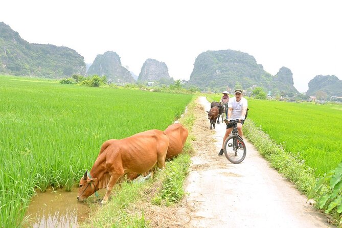 Ninh Binh Full-Day Small Group of 9 Guided Tour from Hanoi - Price Check: Is $85 a Good Value for Ninh Binh?