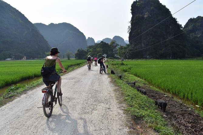 Ninh Binh Full Day Tour: Bai Dinh Pagoda - Trang An - Mua Cave - Lunch at a Local Restaurant: Fuel for Boat and Steps