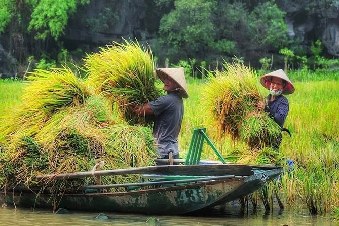 Ninh Binh Full-Day Tour Hoa Lu Tam Coc Cycling, Boat,Buffet Lunch - Transfer to lunch: timing is the hidden skill