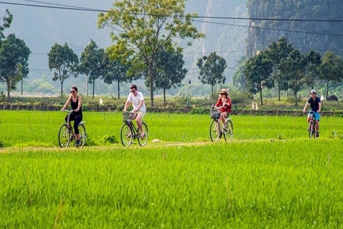 Ninh Binh Full Day Tour to Hoa Lu Tam Coc Mua Cave Buffet Lunch - Mua Cave and Lying Dragon Mountain: The Almost-500 Steps Moment