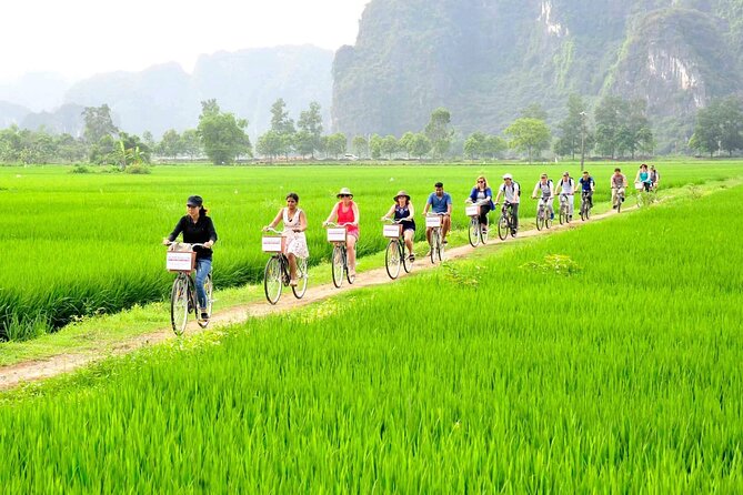 Ninh Binh Full Day Tour with Hoa Lu, Tam Coc and Mua Cave - Mua Cave and Hang Múa viewpoint: 500 steps and real payoff