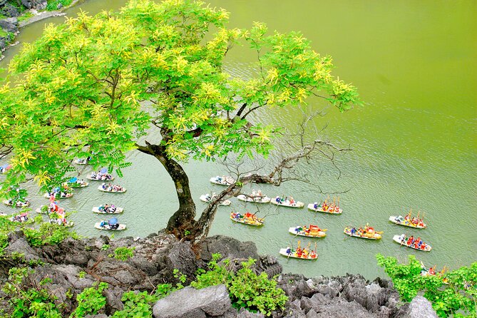 Ninh Binh Full Day Tour with Hoa Lu, Trang An and Mua Cave - Price and Logistics: Is $41 Good Value?
