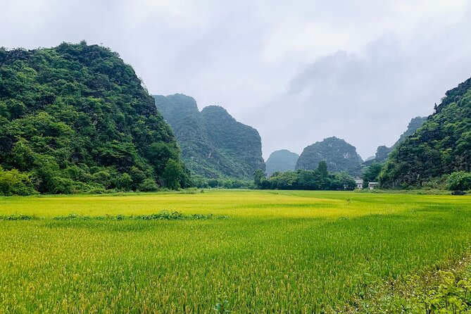 Ninh Binh Full Day Trip From Hanoi To Hoa Lu, Trang An, Mua Cave - Key things you should know before you go