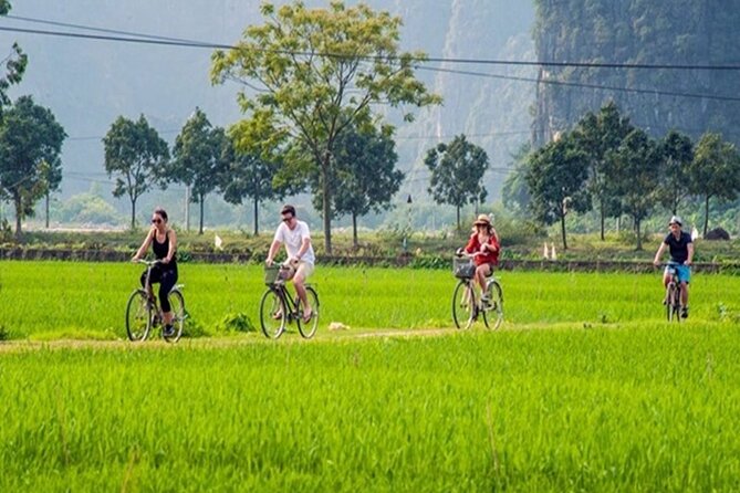 Ninh Binh Full-Day Trip to Trang An Mua Cave Hoa Lu Buffet Lunch - The middle-of-the-day rhythm: lunch, water, and keeping energy steady