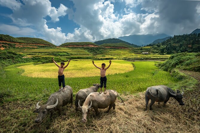 Ninh Binh Group Tour of 11 from Hanoi via Mua Cave Tam Coc Hoa Lu - Hoa Lu temples: where the scenery gets historical context