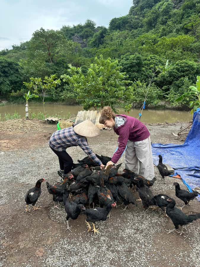 Ninh Binh: Half-Day Cooking Class at a Local Home - The half-day schedule: 10AM–2PM or 3PM–7PM, plus transfers