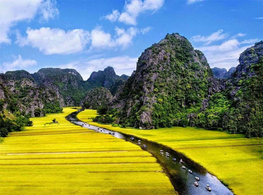 Ninh Binh: Hoa lu, Bai Dinh, Trang an & Mua cave Small Group - How a Full Ninh Binh Day Gets You Four Different Vibes