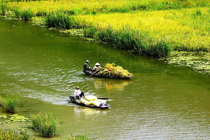 Ninh Binh-Hoa Lu-Tam Coc - Mua cave - Dragon Mountain Hiking 1 Day Tour - Cycling Through Rice Paddies: The Best Part If You Like Slower Travel