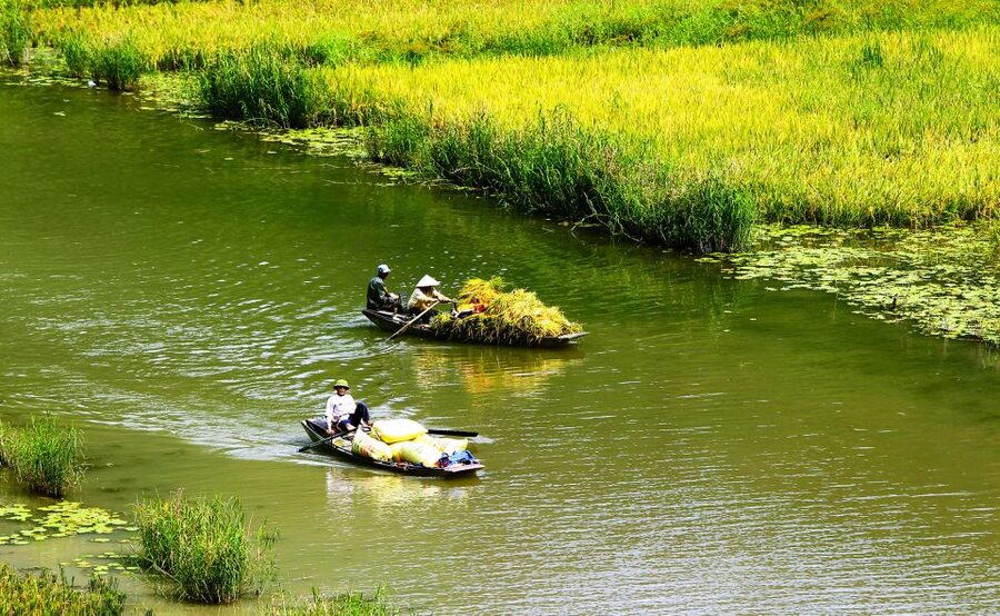 Ninh Binh: Hoa Lu, Trang An and Mua Caves Hiking Day Trip - Price and value: what $43 buys in practice