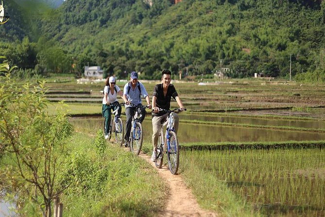 NINH BINH MEMORABLE DAY: Hoa Lu, Mua Cave, boat trip Tam Coc, Trang An optional - Mua Cave (Dragon Mountain) and the 500 steps: the climb is the payoff