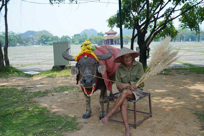 Ninh Binh One Day Trips- from Hanoi - Lunch at Hoa Lu: Buffet Local Food Without the Guesswork