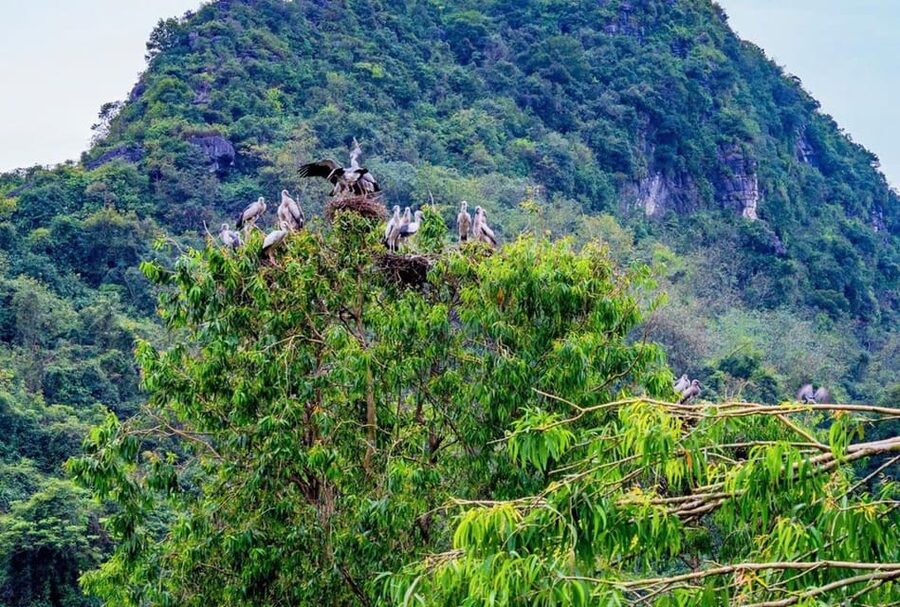 Ninh Binh Private Tour: Tam Coc, Bich Dong and Thung Nham - Lunch near Hoa Lu: filling local set menu (including vegetarian)