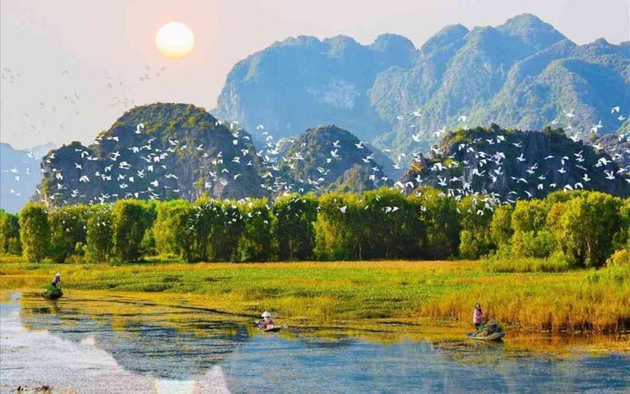 Ninh Binh Private Tour: Tam Coc, Bich Dong and Thung Nham - Thung Nham Bird Valley: sampan boats, Hang But, and the bird-filled paddle