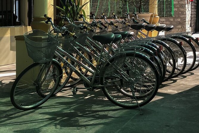 Ninh Binh Private VIP Tour - Who This Ninh Binh Private VIP Tour Fits Best