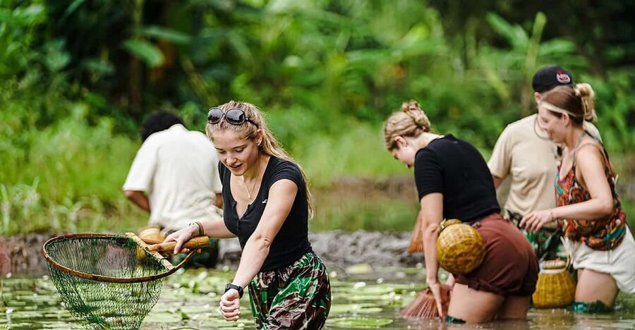 Ninh Binh: Rice planting and fishing by basket tour - Key highlights you’ll actually remember
