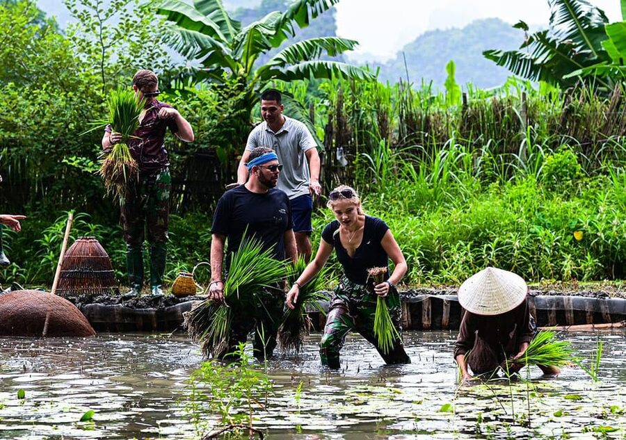 Ninh Binh: Rice planting and fishing by basket tour - Where You Start: Buffalo Cave Near Tam Coc