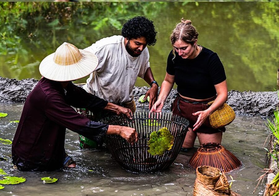 Ninh Binh: Rice planting and fishing by basket tour - Planting Vietnamese Rice Like a Local (Without Pretending It’s Easy)
