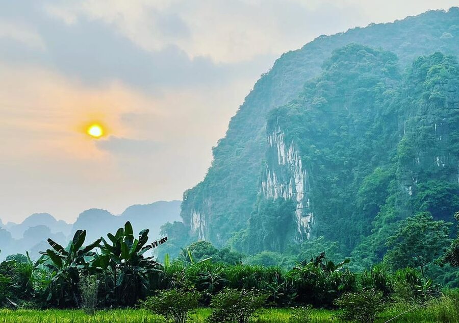 Ninh Binh: Rice planting and fishing by basket tour - Price and Value at About $25